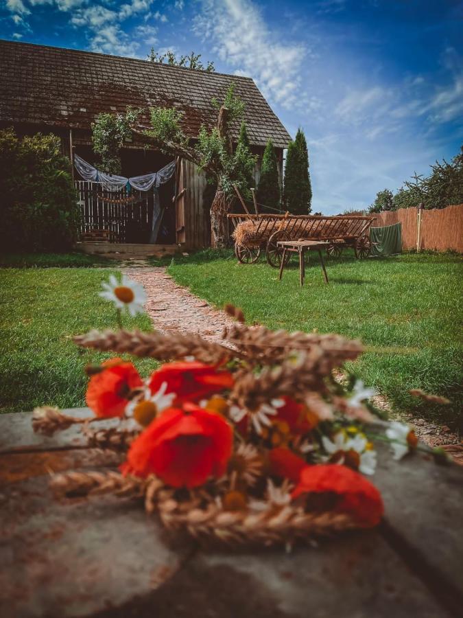 Zaczarowana Furmanka Villa Antolka Dış mekan fotoğraf